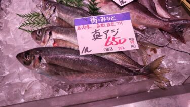 真アジとホウボウは全部食べられる